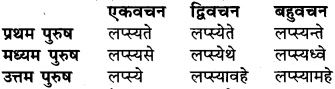 RBSE Class 6 Sanskrit व्याकरण धातु-रूपम् 51