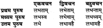 RBSE Class 6 Sanskrit व्याकरण धातु-रूपम् 52