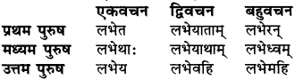 RBSE Class 6 Sanskrit व्याकरण धातु-रूपम् 53