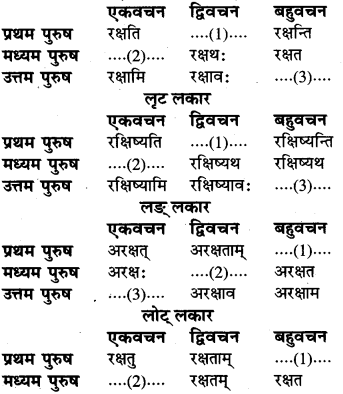 RBSE Class 6 Sanskrit व्याकरण धातु-रूपम् 57