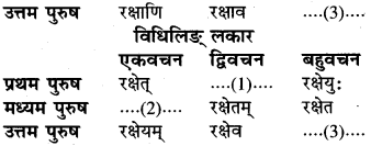RBSE Class 6 Sanskrit व्याकरण धातु-रूपम् 58