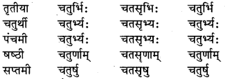 RBSE Class 6 Sanskrit व्याकरण संख्या रूप प्रकरणम् 8