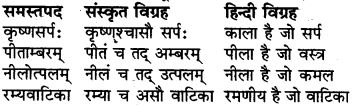 RBSE Class 6 Sanskrit व्याकरण समास 8