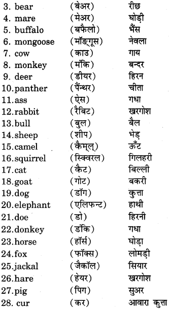 RBSE Class 7 English Useful Words of Daily Use 10
