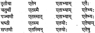 RBSE Class 7 Sanskrit परिशिष्टम् 10