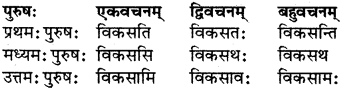 RBSE Class 7 Sanskrit परिशिष्टम् 24