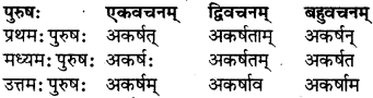 RBSE Class 7 Sanskrit परिशिष्टम् 28