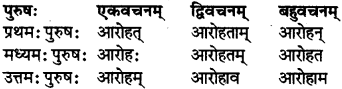 RBSE Class 7 Sanskrit परिशिष्टम् 40