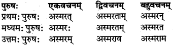 RBSE Class 7 Sanskrit परिशिष्टम् 43