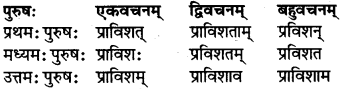 RBSE Class 7 Sanskrit परिशिष्टम् 46