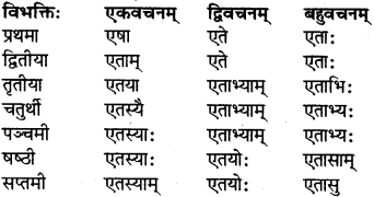 RBSE Class 7 Sanskrit परिशिष्टम् 8