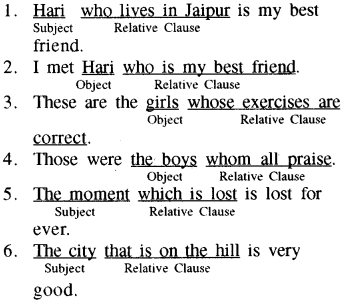 RBSE Class 8 English Grammar Relative Clauses 1