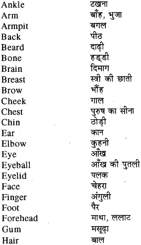 RBSE Class 8 English Useful Words of Daily Use 1