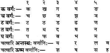 RBSE Class 8 Sanskrit परिशिष्टम् वर्णोच्चारणस्थानानि - 1
