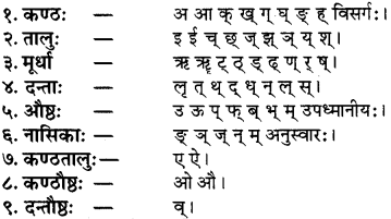 RBSE Class 8 Sanskrit परिशिष्टम् वर्णोच्चारणस्थानानि - 2