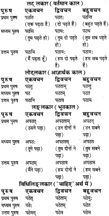 RBSE Class 8 Sanskrit व्याकरण धातु-रूपाणि - 1