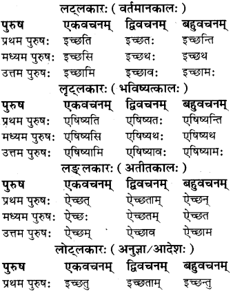 RBSE Class 8 Sanskrit व्याकरण धातु-रूपाणि - 10