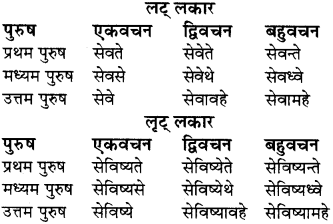 RBSE Class 8 Sanskrit व्याकरण धातु-रूपाणि - 19