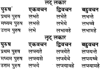 RBSE Class 8 Sanskrit व्याकरण धातु-रूपाणि - 20