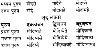 RBSE Class 8 Sanskrit व्याकरण धातु-रूपाणि - 22