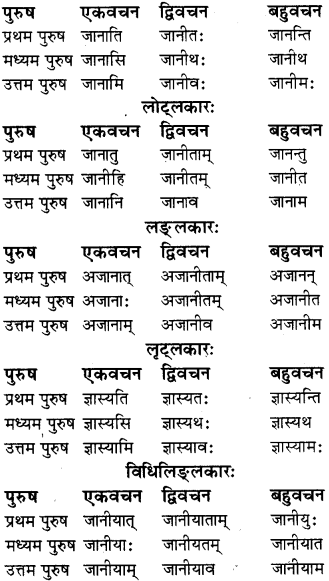 RBSE Class 8 Sanskrit व्याकरण धातु-रूपाणि - 7