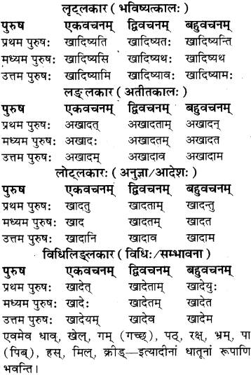 RBSE Class 8 Sanskrit व्याकरण धातु-रूपाणि - 9