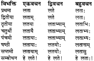 RBSE Class 8 Sanskrit व्याकरण संज्ञा शब्द 11
