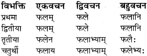 RBSE Class 8 Sanskrit व्याकरण संज्ञा शब्द 16