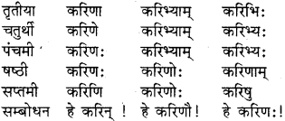 RBSE Class 8 Sanskrit व्याकरण संज्ञा शब्द 9