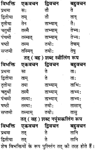 RBSE Class 8 Sanskrit व्याकरण सर्वनाम शब्द 1