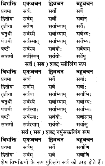 RBSE Class 8 Sanskrit व्याकरण सर्वनाम शब्द 11
