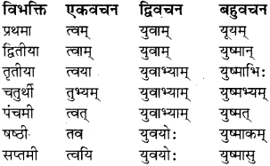 RBSE Class 8 Sanskrit व्याकरण सर्वनाम शब्द 8