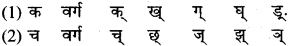 RBSE Class 9 Sanskrit व्याकरण उच्चारणस्थानानि 1