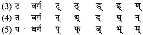 RBSE Class 9 Sanskrit व्याकरण उच्चारणस्थानानि 3