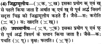 RBSE Class 9 Sanskrit व्याकरण उच्चारणस्थानानि 4