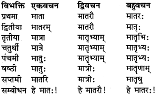 RBSE Class 9 Sanskrit व्याकरण रूप-प्रकरणम् 13