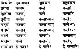 RBSE Class 9 Sanskrit व्याकरण रूप-प्रकरणम् 14