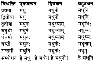 RBSE Class 9 Sanskrit व्याकरण रूप-प्रकरणम् 15
