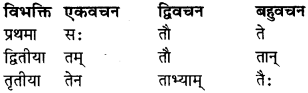 RBSE Class 9 Sanskrit व्याकरण रूप-प्रकरणम् 16