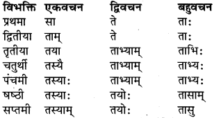 RBSE Class 9 Sanskrit व्याकरण रूप-प्रकरणम् 18
