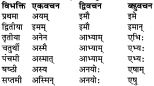 RBSE Class 9 Sanskrit व्याकरण रूप-प्रकरणम् 20