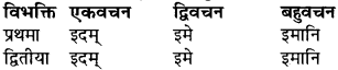 RBSE Class 9 Sanskrit व्याकरण रूप-प्रकरणम् 21