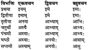 RBSE Class 9 Sanskrit व्याकरण रूप-प्रकरणम् 22