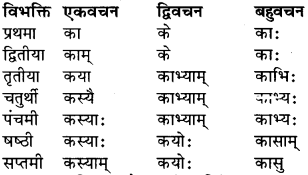 RBSE Class 9 Sanskrit व्याकरण रूप-प्रकरणम् 24