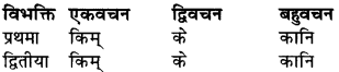 RBSE Class 9 Sanskrit व्याकरण रूप-प्रकरणम् 25