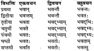RBSE Class 9 Sanskrit व्याकरण रूप-प्रकरणम् 29