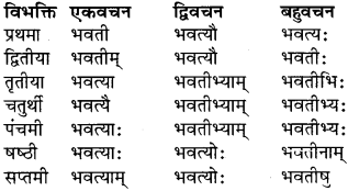 RBSE Class 9 Sanskrit व्याकरण रूप-प्रकरणम् 31