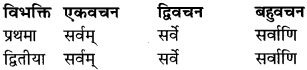 RBSE Class 9 Sanskrit व्याकरण रूप-प्रकरणम् 34