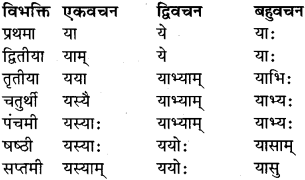 RBSE Class 9 Sanskrit व्याकरण रूप-प्रकरणम् 36