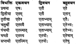 RBSE Class 9 Sanskrit व्याकरण रूप-प्रकरणम् 38